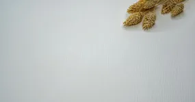 Film adhésif effet bois blanc