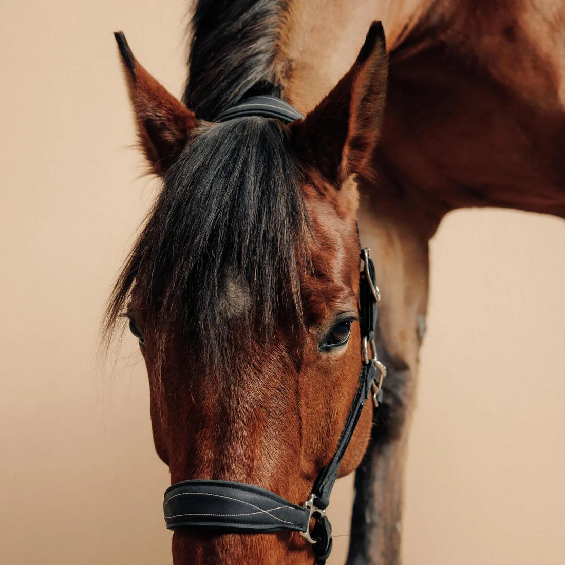 Licol équitation cuir synthétique Cheval et Poney - 500