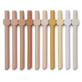 Lot de 10 Pailles Badu - Rose Multi Mix