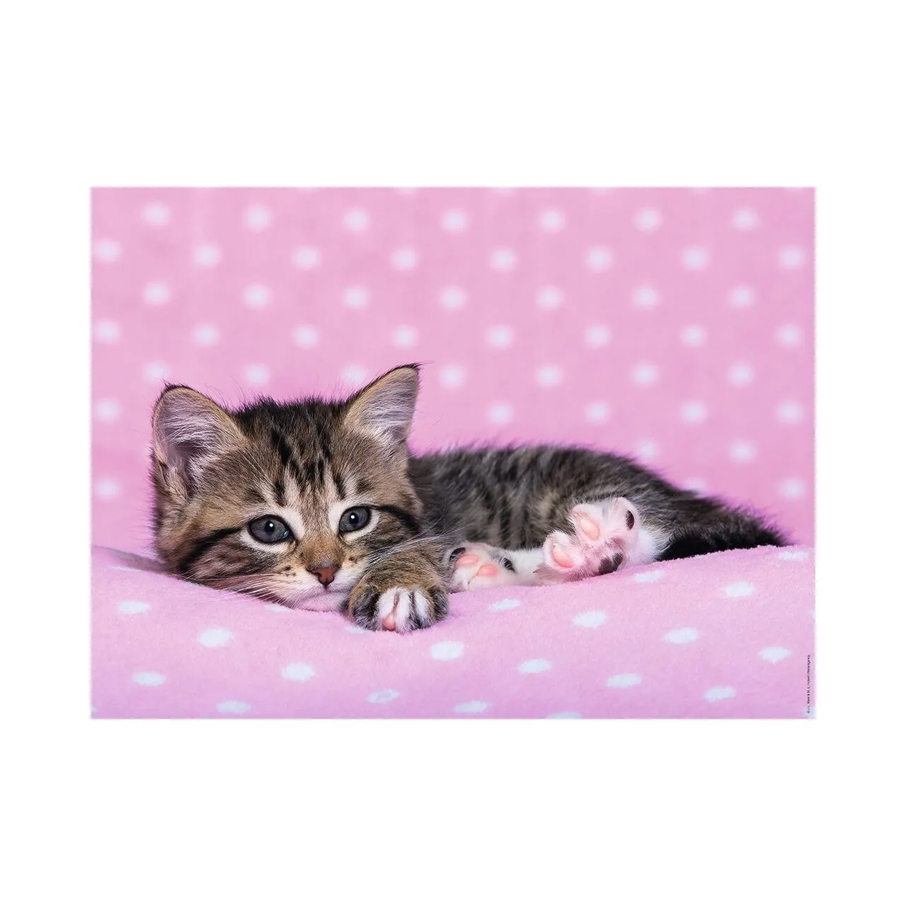 Puzzle Ravensburger - Chaton, 200 pièces XXL